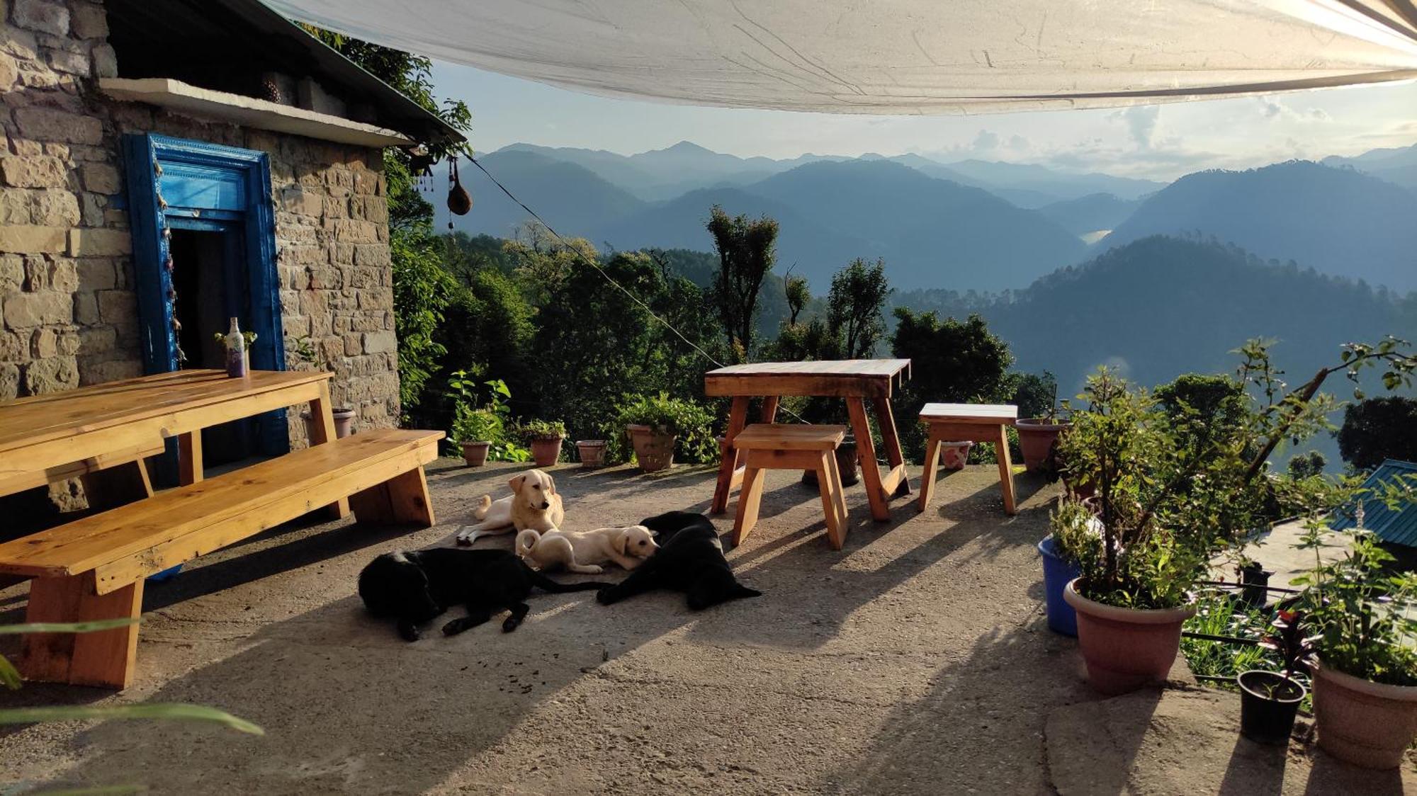 Vista Backpackers Hostel Patwa Dunga Rum bild